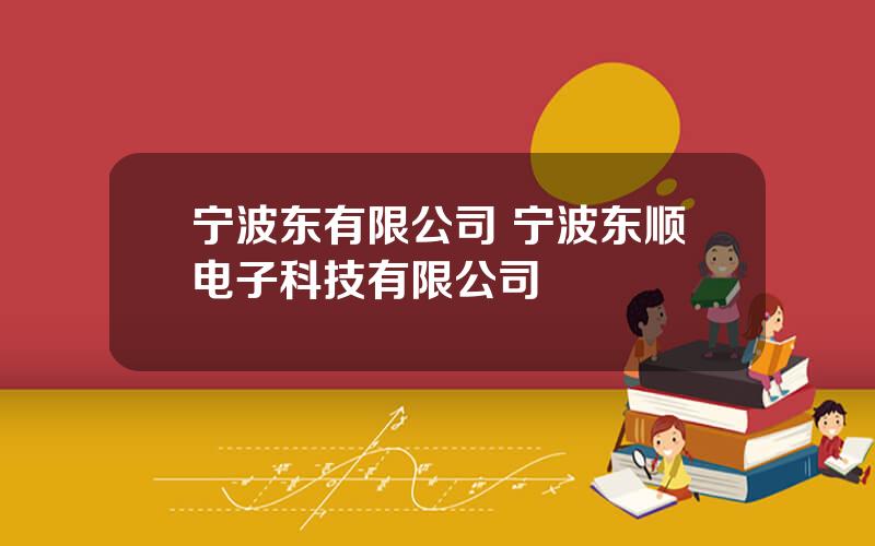 宁波东有限公司 宁波东顺电子科技有限公司
